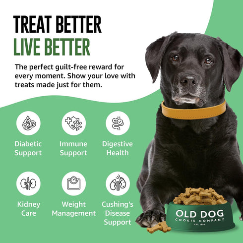 Old Dog Cookie Company Tiny Diabetic Dog Treats, All Natural, 2 Calorie, Vet Approved