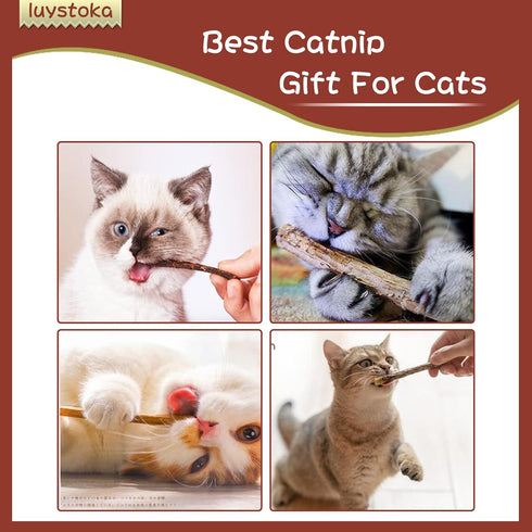 Silvervine Sticks for Cats, 30PCS Wooden Chew Toys, Matatabi Catnip Teething Toys for All Ages
