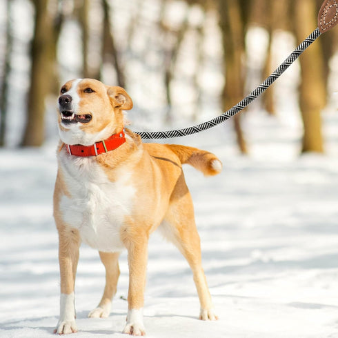 Mile High Life Mountain Climbing Dog Rope Leash with Heavy Duty Metal Clasp, Genuine Leather Connection, White, 48 Inch