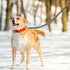Mile High Life Mountain Climbing Dog Rope Leash with Heavy Duty Metal Clasp, Genuine Leather Connection, White, 48 Inch