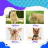 Dog Slicker Brush, Professional Grooming Tool for Goldendoodles, Poodles, and Doodles, Gentle Dematting and Detangling