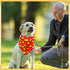 50PCS Hemming Large Dog Bandanas Fall Large XL Dog Breed Bulk Autumn Pattern Kerchief Triangle Bibs Head Scarves Scarfs