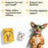 30 LEGITPET Turmeric Curcumin Hip & Joint Supplement for Dogs Supports Mobility, Comfort & Overall Wellness