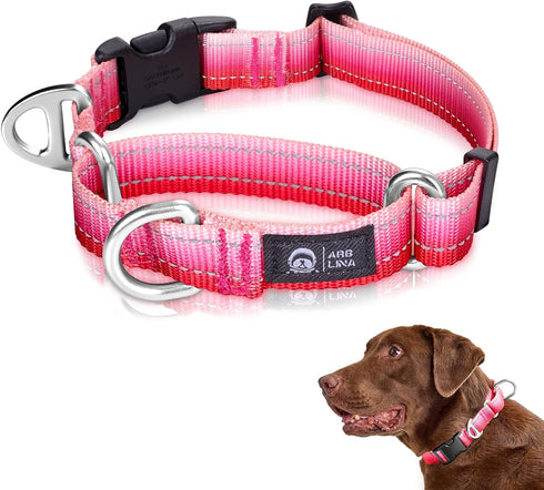 Martingale Dog Collar, Pink Light-Reflective Polyester for Whippets, Greyhounds, No-Pull No-Escape Adjustable Collars