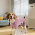 KYEESE Dog Pajamas Striped Pet Jumpsuit, Soft Doggie Jammies, Lightweight Onesie for Small Dogs (Green Striped, X-Large)