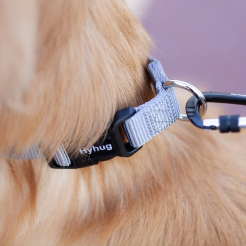 Hyhug Pets Tough Basic Regular Collar for Medium Dogs, Unique Design with Adjustment Triglide Slide (Sleet Gray)