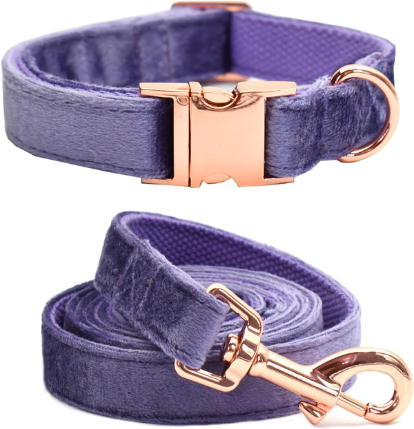 Velvet Dog Collar and Leash Set for Small Medium Large Dogs - Ideal for Training & Walking