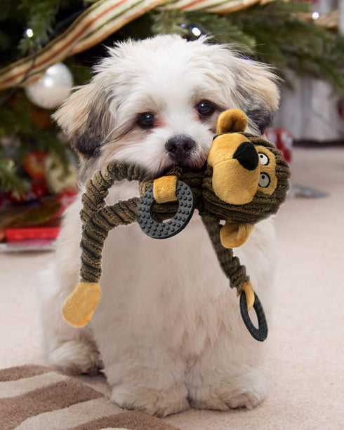 HGB Squeaky Dog Toys - Plush Chew Toys for Puppy Teething, Interactive Toys for Small and Medium Dogs