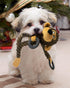 HGB Squeaky Dog Toys - Plush Chew Toys for Puppy Teething, Interactive Toys for Small and Medium Dogs