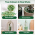 T4U 1LB Crystal Chips Stone Crushed Quartz Jade Pebbles - Fluorite Tumbled Gravel Small Decorative Pebbles Bulk, Mini