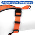 Pawtitas Reflective Dog Harness - Comfortable & Padded for Controlled Walks or Runs - XS, Orange