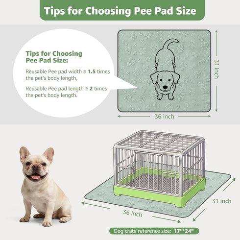 2 Pack 31"x36" LOOBANI Washable Pee Pads for Dogs: Super Absorbent Reusable Puppy Pads, Leakproof and Waterproof Dog