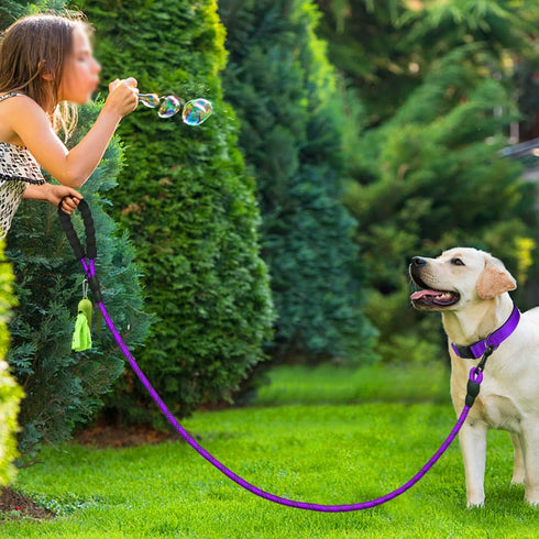 Dynmeow Reflective Dog Collar and Leash Set, 6FT Strong Climbing Rope Leash with Padded Handle, Adjustable for Medium
