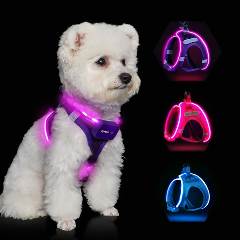 Light Up Dog Harness,Rechargeable LED Dog Harness for Small Medium Large Dogs,Reflective