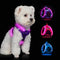 Light Up Dog Harness,Rechargeable LED Dog Harness for Small Medium Large Dogs,Reflective