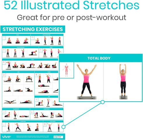 Vive Workout Posters (3 Pack) - Bodyweight, Yoga, Stretching Exercise Guide for Home Fitness, Laminated Illustrations