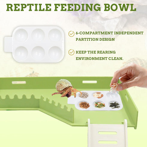 Simaixing Hermit Crab Platform with Ladder and Food Dish Hermit Crab Climbing Toys for Habitat Hermit Crab Supplies