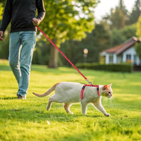 PAWCHIE Escape Proof Adjustable H-shaped Cat Harness with Leash and Collar Set - Glow in The Dark Star and Moon Pattern