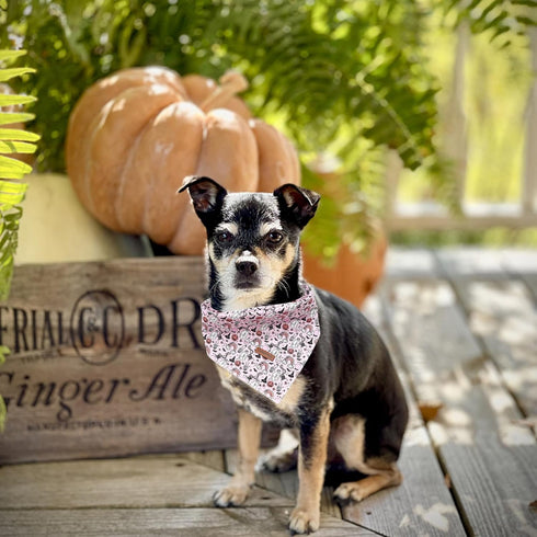 Pack, Lionheart Glory Dog Bandana - Halloween Washable Soft Scarf, Fall Bib for Small to Large Puppies - Adjustable