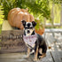Pack, Lionheart Glory Dog Bandana - Halloween Washable Soft Scarf, Fall Bib for Small to Large Puppies - Adjustable