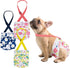 Pet Soft Dog Diapers Female with Suspenders, 3 Pack Reusable Female Dog