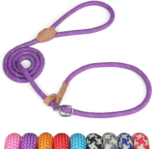 Grand Line Slip Lead Dog Leash - 5FT Reflective Slip Rope for Puppy Training, Purple, Small (1/4in x 5ft)