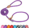 Grand Line Slip Lead Dog Leash - 5FT Reflective Slip Rope for Puppy Training, Purple, Small (1/4in x 5ft)
