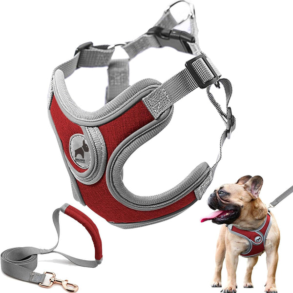 Dog Harness with Leash Set, No Pull Adjustable Step-in Harness with Breathable Padded Vest for Small Medium Large Dogs