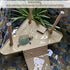 Tfwadmx Turtle Basking Platform, Floating Turtles Pier Dock for Aquarium Decoration