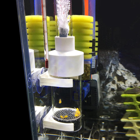 WEAVERBIRD Fish Hatchery Incubator, 50mm Tumbler for Cichlids Fish Egg Breeding in Aquarium