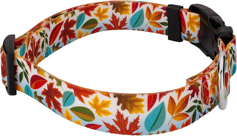 Country Brook Design 1/2 Inch Adjustable Dog Collar, Autumn Fall Collection for Small Medium Large Breeds (Brisk