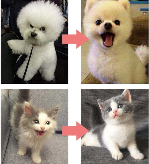 Pet Grooming Tool, Deshedding Dematting Brush Removal Comb for Pets