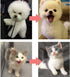Pet Grooming Tool, Deshedding Dematting Brush Removal Comb for Pets