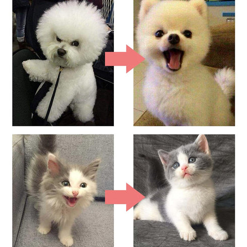 Cleaning Slicker Brush, Comfortable Pet Grooming Tool for Small and Medium Pets, Smooth Plastic + Stainless Design