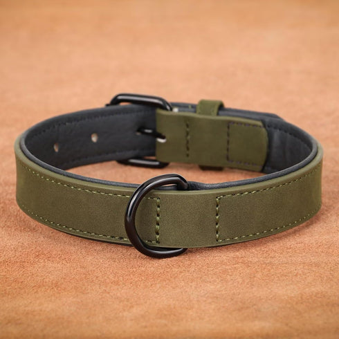 Didog Soft Padded Leather Dog Collar - Breathable Heavy Duty with Adjustable Rust-Proof Metal Buckle for Small Medium