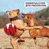 Beirui Heavy Duty Spiked Dog Collar, Stylish Leather Studded for Medium & Large Dogs (Red Rivets & Black Leather,