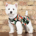6 Pack Puppy Clothes for Small Dog Boy, Summer Shirt for Chihuahua Yorkies, Black Security Vest Funny Apparel, XS