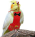 Bird Diaper Washable Parrot Diapers Reusable Bird Flight Suit Nappies Protective Breathable