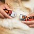 Buckle-Down Dog Collar Seatbelt Buckle The Flash Logo 3 Poses Black Red Gold, 1.0 Inch Wide - Fits 9 to 15 Inches