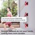 Resistance Band Wall Anchors, Workout Wall Mount Anchor for Strength Training, Fitness, Physical Therapy