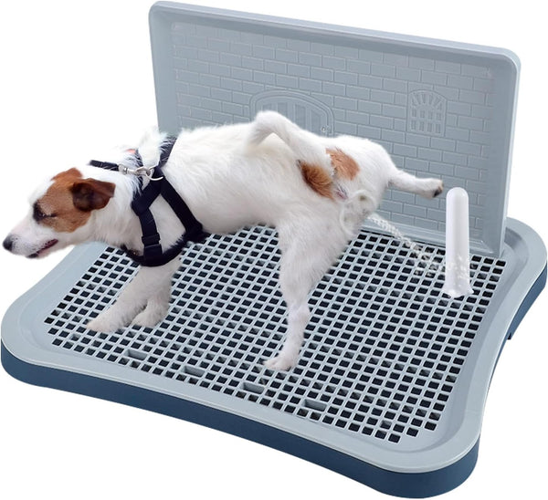 BESTMAN MARINE Pee Pad Holder,Dog Potty Tray with Splash Guard,Indoor Potty for Small Dogs,