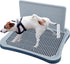 BESTMAN MARINE Pee Pad Holder,Dog Potty Tray with Splash Guard,Indoor Potty for Small Dogs,