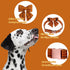 Maca Bates Fall Pumpkin Plaid Dog Collar with Sailor Bow Tie for Small Dogs, Adjustable Breakaway Soft Collar