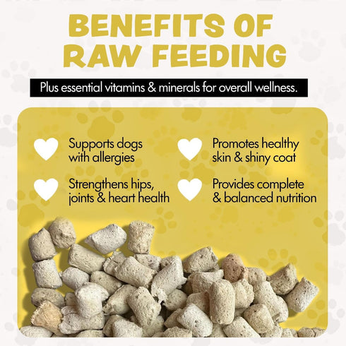 16 Oz (500+Pieces) 96% Freeze Dried Dog Food for Small & Large Dogs, Chicken Dog Food Toppers for Picky Eaters, USA