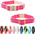 Lionheart Glory Reflective Dog Collar, Adjustable Durable Soft Classic Collar for Female Male Small Dogs Pet Gift (Pink)