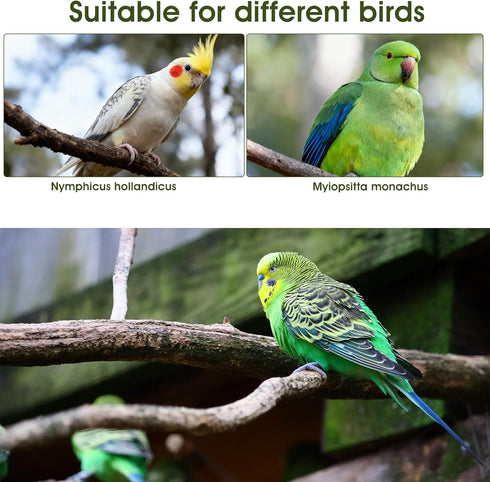 LXUEJIE 4 Pcs Bird Diaper, Cute Pet Bird Diaper, Parrot Nappy Reusable Flight Suit with Waterproof Inner Birds Diapers
