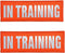 Orange Reflective Dog Patches 2 Pack, Service Dog in Training, DO NOT PET Patches with Hook and Loop