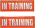 Orange Reflective Dog Patches 2 Pack, Service Dog in Training, DO NOT PET Patches with Hook and Loop