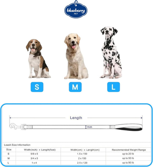 Blueberry Pet Valentine's Day Dog Leash, Gothic Grape, Velvety Soft-Touch Heart Flocking Lead for Small Dogs, 5 ft x