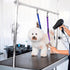 Pet Dog Grooming Loops, 2 Pack Adjustable Nylon Restraint Noose Loop for Dog Bathing Safety Tether Straps